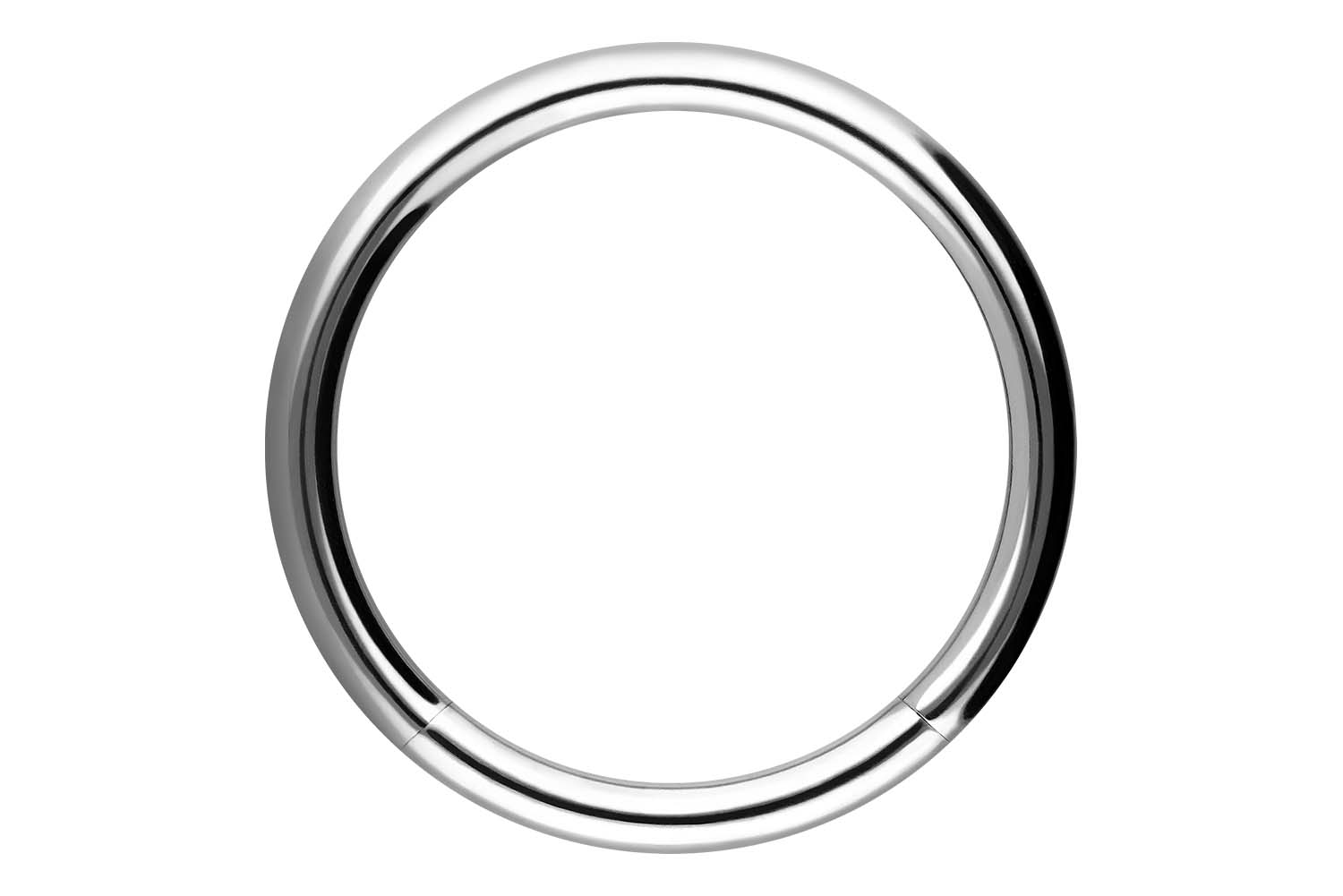 Chirurgenstahl Segmentring von Piercingline